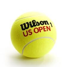 Tennispallot pihalla Wilson US OPEN hinta ja tiedot | Wilson Tennis | hobbyhall.fi