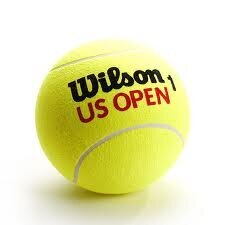 Tennispallot pihalla Wilson US OPEN hinta ja tiedot | Wilson Mailapelit | hobbyhall.fi