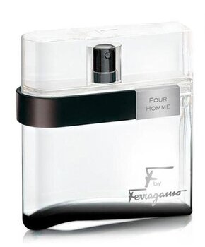 Hajuvesi Salvatore Ferragamo F by Ferragamo Black Pour Homme EDT miehille 100 ml hinta ja tiedot | Miesten hajuvedet | hobbyhall.fi