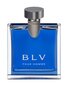 Bvlgari BLV Pour Homme EDT miehelle 100 ml hinta ja tiedot | Miesten hajuvedet | hobbyhall.fi