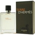 Hermes Terre D´Hermes EDT miehelle 100 ml