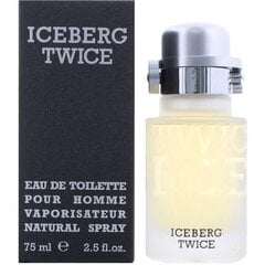 Iceberg Twice EDT miehelle 75 ml hinta ja tiedot | Iceberg Hajuvedet ja tuoksut | hobbyhall.fi