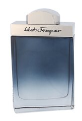 Salvatore Ferragamo Subtil EDT miehille 100 ml hinta ja tiedot | Salvatore Ferragamo Hajuvedet ja kosmetiikka | hobbyhall.fi