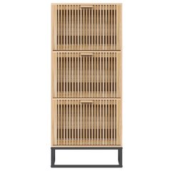 vidaXL Kenkäkaappi, 52x25x120cm, käsitelty puu hinta ja tiedot | Kenkäkaapit ja -hyllyt | hobbyhall.fi