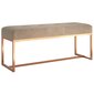 Penkki, beige, 110x36x45cm, sametti hinta ja tiedot | Kenkäkaapit ja -hyllyt | hobbyhall.fi