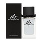 Burberry Mr. Burberry EDT miehelle 100 ml hinta ja tiedot | Miesten hajuvedet | hobbyhall.fi