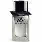 Burberry Mr. Burberry EDT miehelle 100 ml hinta ja tiedot | Miesten hajuvedet | hobbyhall.fi