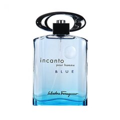 Salvatore Ferragamo Incanto Blue EDT miehelle 100 ml hinta ja tiedot | Miesten hajuvedet | hobbyhall.fi