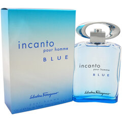 Salvatore Ferragamo Incanto Blue EDT miehelle 100 ml hinta ja tiedot | Miesten hajuvedet | hobbyhall.fi