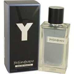 Yves Saint Laurent Y EDT miehille 100 ml hinta ja tiedot | Miesten hajuvedet | hobbyhall.fi