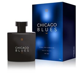 Vittorio Bellucci Chicago Blues EDP miehelle 100 ml hinta ja tiedot | Miesten hajuvedet | hobbyhall.fi