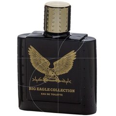 Hajuvesi Real Time Big Eagle Collection EDT miehille 100 ml. hinta ja tiedot | Miesten hajuvedet | hobbyhall.fi