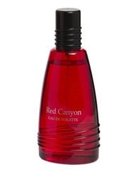 Real Time Red Canyon EDT mihelle 100 ml hinta ja tiedot | Miesten hajuvedet | hobbyhall.fi