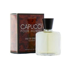 Roberto Capucci Capucci Pour Homme EDT miehelle 100 ml hinta ja tiedot | Miesten hajuvedet | hobbyhall.fi