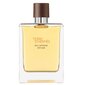 Hermes Terre D Hermes Eau Intense Vetiver EDP miehelle 50 ml hinta ja tiedot | Miesten hajuvedet | hobbyhall.fi