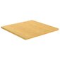 vidaXL Pöytälevy 80x80x2,5 cm bambu hinta ja tiedot | Pöytälevyt | hobbyhall.fi