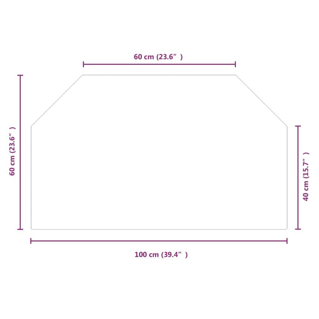 Vidaxl takkalasipaneeli, 100x60cm, kuusikulmainen hinta ja tiedot | Takka- ja uunitarvikkeet | hobbyhall.fi