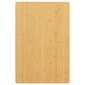 vidaXL Pöytälevy 60x100x2,5 cm bambu hinta ja tiedot | Pöytälevyt | hobbyhall.fi