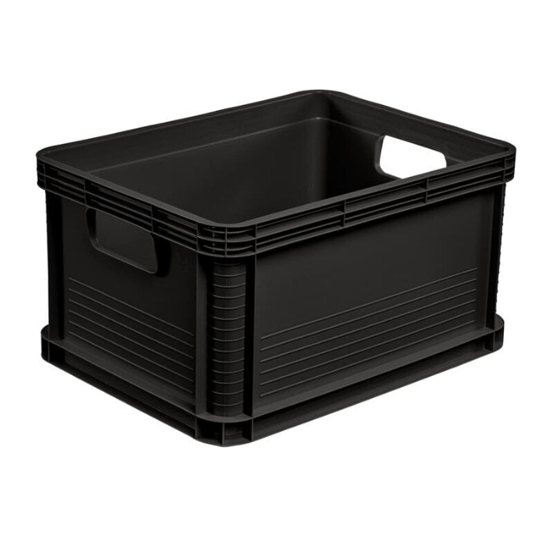 Kuljetuslaatikko Robert, 20L, 40x30x22cm, kantavuus enintään 30kg, grafiitinharmaa hinta ja tiedot | Säilytyslaatikot ja -korit | hobbyhall.fi