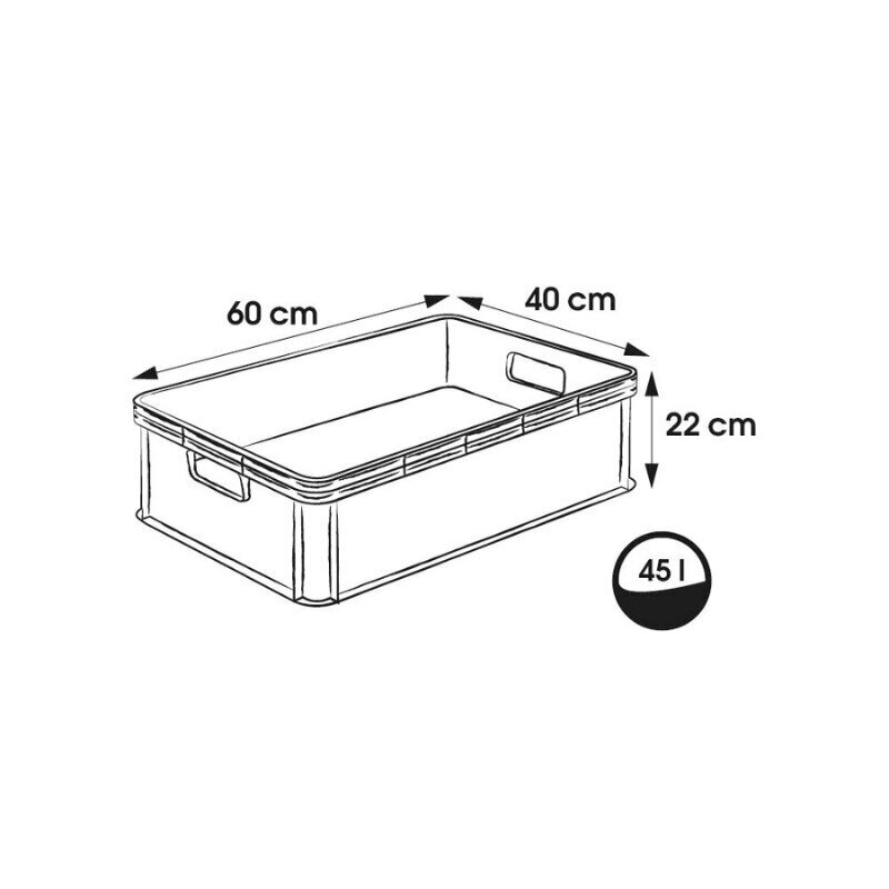 Kuljetuslaatikko, jonka kantavuus on enintään 30kg Robert 60x40x22cm 45L grafiittiä hinta ja tiedot | Säilytyslaatikot ja -korit | hobbyhall.fi