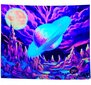 Seinä koristelu UV FLUORESCENT GOBELIN ODBLASK 150cm XL Planet UV FLUORESCENT GOBELIN ODBLASK 150cm XL Planet hinta ja tiedot | Taulut | hobbyhall.fi