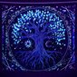 Seinä koristelu UV FLUORESCENT GOBELIN ODBLASK 150cm XXL puu hinta ja tiedot | Taulut | hobbyhall.fi