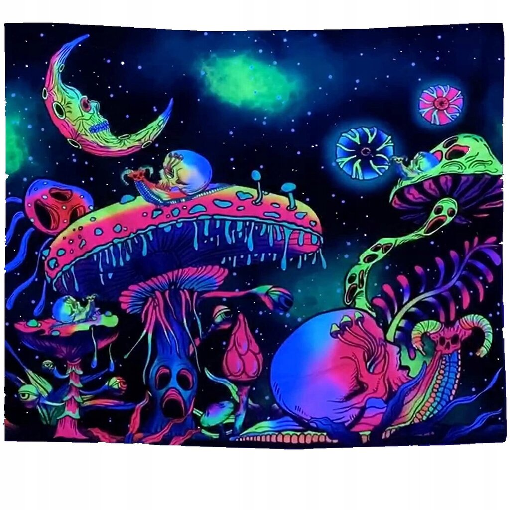 UV FLUORESCENT KUVA SEINÄKORISTE GOBELIN ODBLASK 150x150cm Sienet hinta ja tiedot | Taulut | hobbyhall.fi