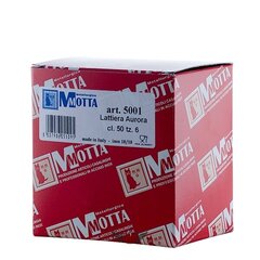 Aurora Motta Premium 500ml kannu hinta ja tiedot | Lasit, mukit ja kannut | hobbyhall.fi