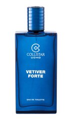 Collistar Vetiver Forte EDT miehelle 100 ml hinta ja tiedot | Collistar Hajuvedet ja tuoksut | hobbyhall.fi