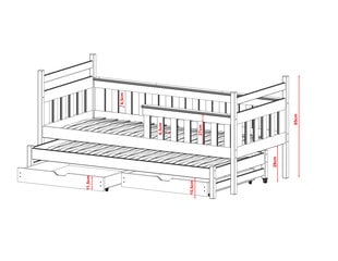 Lastensänky Dominik FURNLUX CLASSIC, 98x188x90 cm, grafiitti hinta ja tiedot | Lastensängyt | hobbyhall.fi