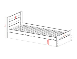 Lastensänky Nela FURNLUX CLASSIC, 88x178x67 cm, harmaa hinta ja tiedot | Lastensängyt | hobbyhall.fi