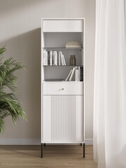 Vitriini Iseo FURNLUX CLASSIC, 54x39x180 cm, valkoinen hinta ja tiedot | Vitriinit | hobbyhall.fi