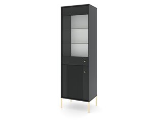 Vitriini Iseo FURNLUX CLASSIC, 54x39x180 cm, musta hinta ja tiedot | Vitriinit | hobbyhall.fi