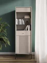 Vitriini Iseo FURNLUX CLASSIC, 54x39x180 cm, beige hinta ja tiedot | Vitriinit | hobbyhall.fi