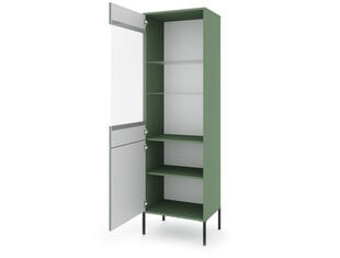 Vitriini Iseo FURNLUX CLASSIC, 54x39x180 cm, vihreä hinta ja tiedot | Vitriinit | hobbyhall.fi