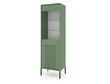 Vitriini Iseo FURNLUX CLASSIC, 54x39x180 cm, vihreä hinta ja tiedot | Vitriinit | hobbyhall.fi