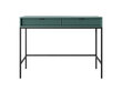 Konsolipöytä Avon FURNLUX CLASSIC, 104x50x77 cm, vihreä hinta ja tiedot | Sivupöydät | hobbyhall.fi