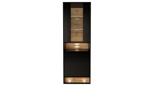 Vitriini Vision FURNLUX CLASSIC, 60x40x180 cm, musta hinta ja tiedot | Vitriinit | hobbyhall.fi