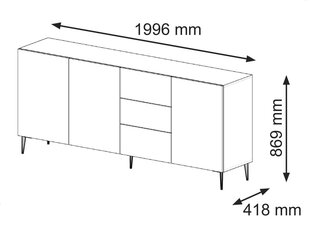 Senkki Ravenna B FURNLUX CLASSIC, 200x42x87 cm, musta hinta ja tiedot | Olohuoneen kaapit ja lipastot | hobbyhall.fi