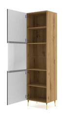 Vitriini Ravenna B FURNLUX CLASSIC, 60x42x215 cm, beige hinta ja tiedot | Vitriinit | hobbyhall.fi