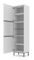 Vitriini Ravenna B FURNLUX CLASSIC, 60x42x217 cm, valkoinen hinta ja tiedot | Vitriinit | hobbyhall.fi