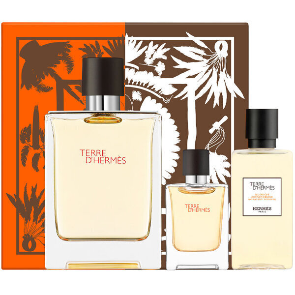 Hermes Terre d'Hermes EDT lahjapakkaus miehelle 100 ml hinta ja tiedot | Miesten hajuvedet | hobbyhall.fi