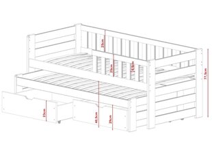 Lastensänky Bolko FURNLUX CLASSIC, 88x208x78 cm, grafiitti hinta ja tiedot | Lastensängyt | hobbyhall.fi