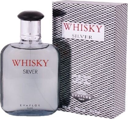Evaflor Whisky Silver For Men EDT miehelle 100 ml hinta ja tiedot | Miesten hajuvedet | hobbyhall.fi