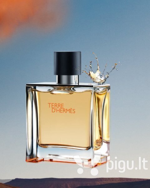 Hermes Terre d´Hermes Flacon H 2021 EDT miehelle 100 ml hinta ja tiedot | Miesten hajuvedet | hobbyhall.fi