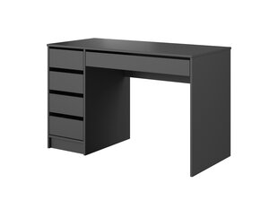 Pöytä Ada FURNLUX CLASSIC, 120x55x75 cm, grafiitti hinta ja tiedot | Puutarhapenkit | hobbyhall.fi