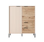 Lipasto Rave FURNLUX CLASSIC, 104x40x124 cm, beige hinta ja tiedot | Lipastot | hobbyhall.fi