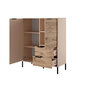 Lipasto Rave FURNLUX CLASSIC, 104x40x124 cm, beige hinta ja tiedot | Lipastot | hobbyhall.fi