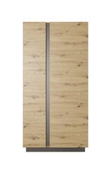 Vitriini Arcade FURNLUX CLASSIC, 97x54x194 cm, beige hinta ja tiedot | Vitriinit | hobbyhall.fi