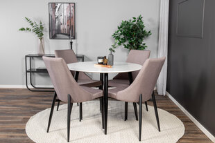 Tuoli Leone FURNLUX CLASSIC, 47x63x91 cm, harmaa hinta ja tiedot | Ruokapöydän tuolit | hobbyhall.fi